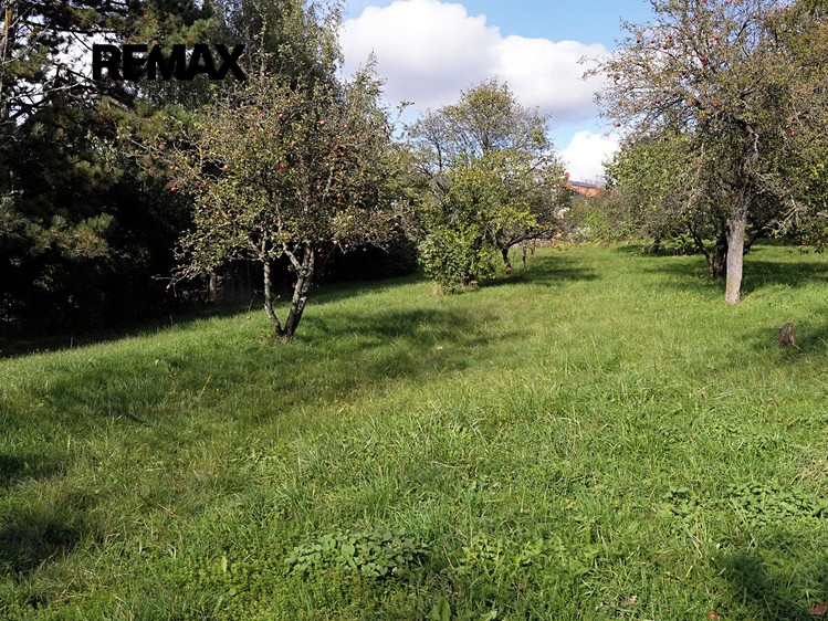 Ділянка на продаж, 2 359 м² (5 з 9)