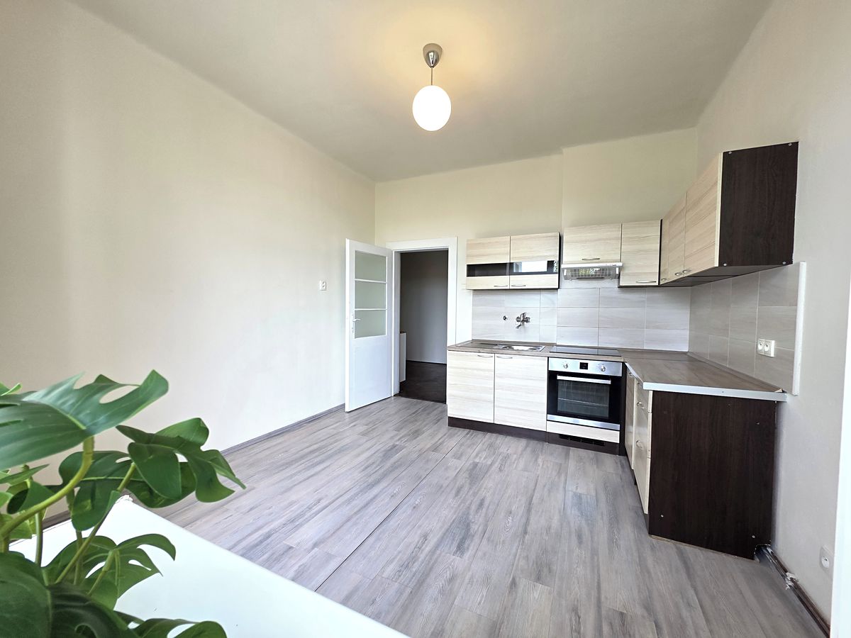 Pronájem bytu 1+1 44 m² – fotografie 3
