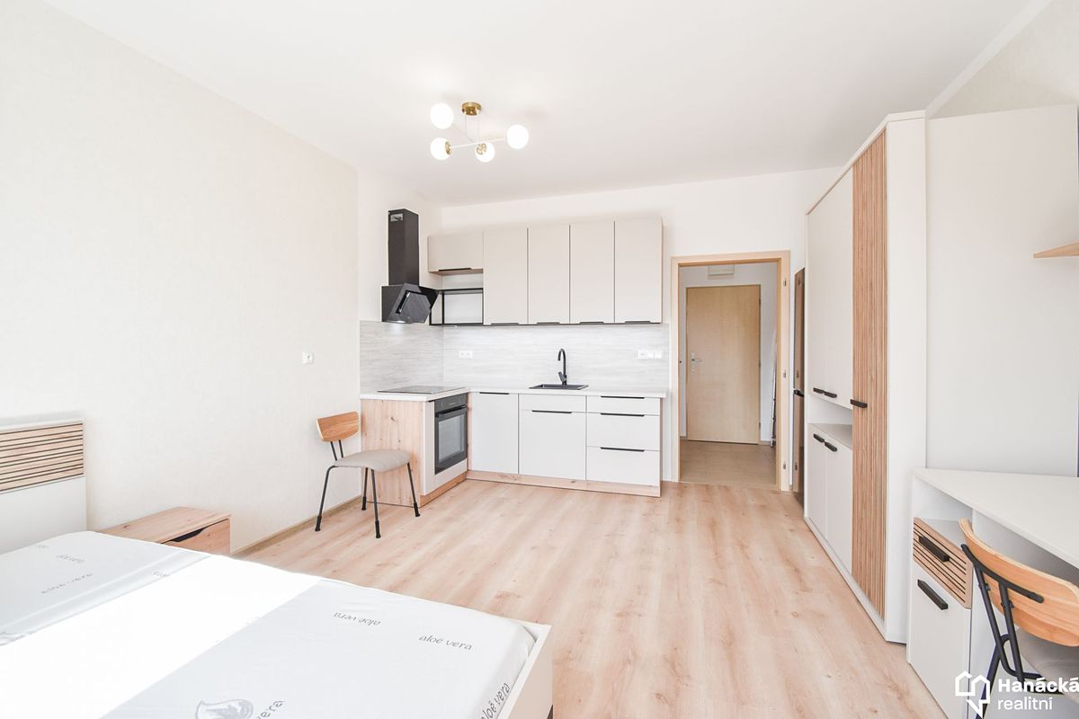Pronájem bytu 1+kk 29 m² – fotografie 2