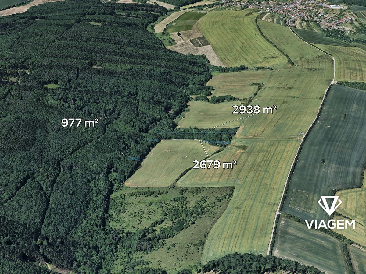 Prodej lesa 3596 m²
