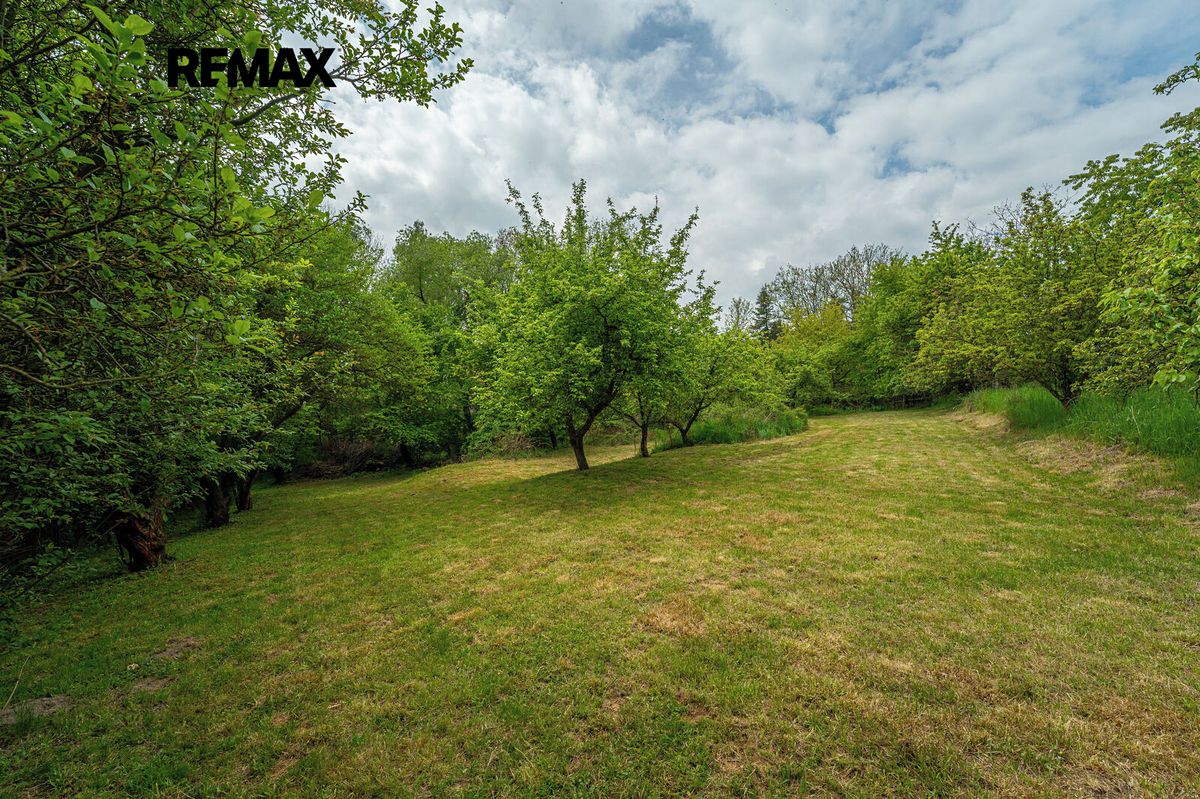 Prodej rodinného domu 134 m², pozemek 3423 m² – fotografie 5