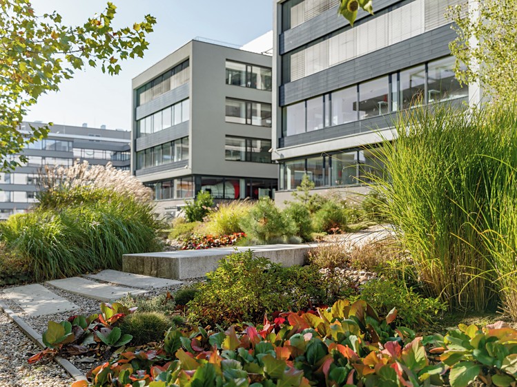 Gewerbefläche zur Miete, 2.000 m² (7 von 19)