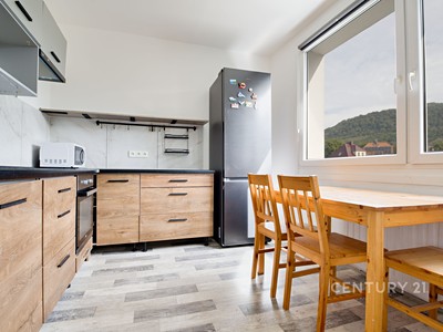 Prodej bytu 3+1 79 m²