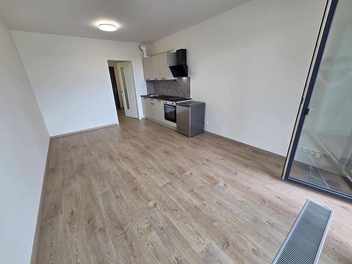 Pronájem bytu 1+kk 30 m² – fotografie 3