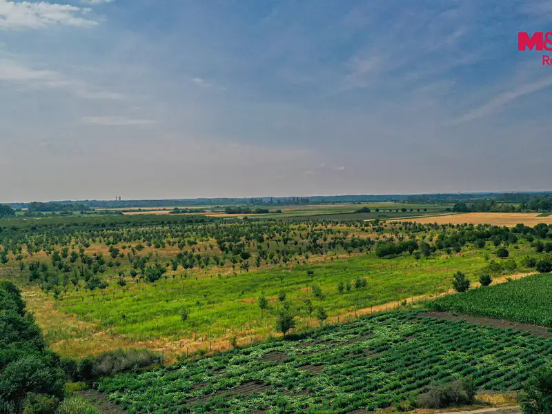 Prodej pole 21280 m², Rakvice – náhled fotky 3