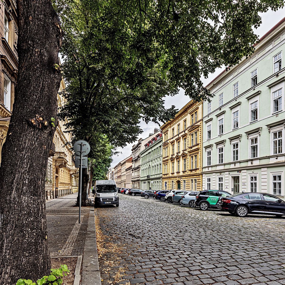 Pronájem kanceláře 182 m²