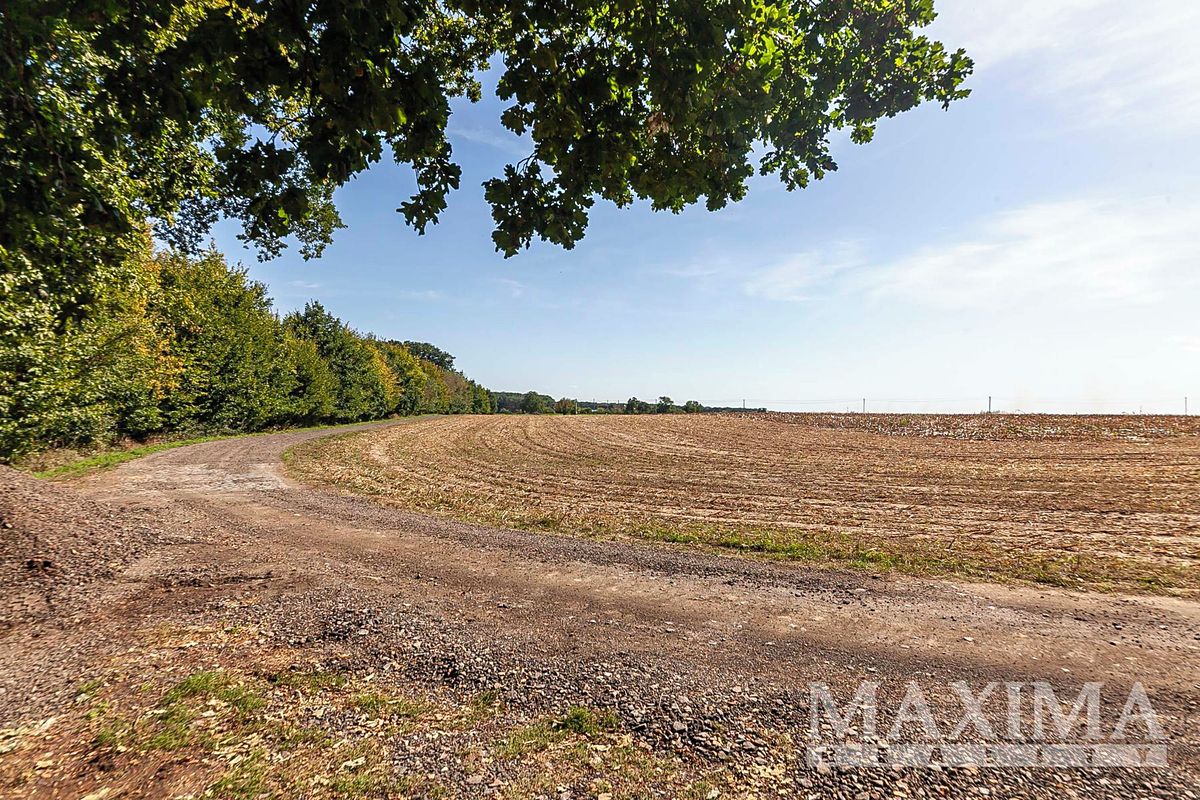 Prodej pole 3636 m² – fotografie 4