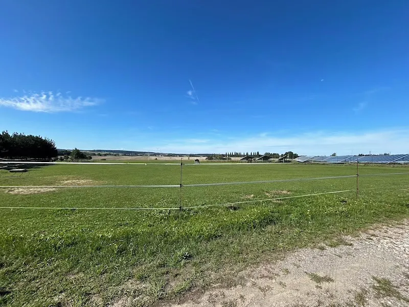 Fotka 4 z 16