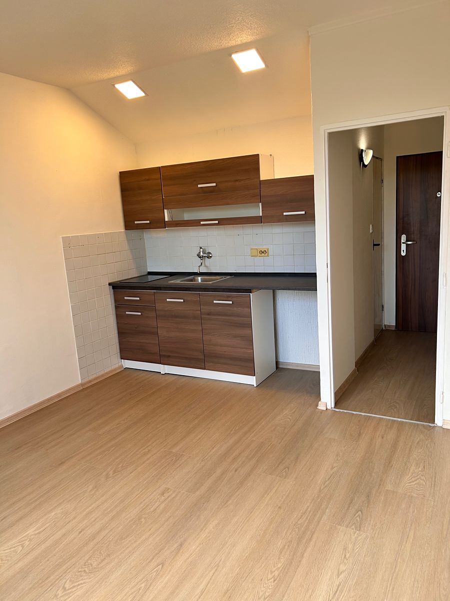 Pronájem bytu 1+kk 20 m² – fotografie 2