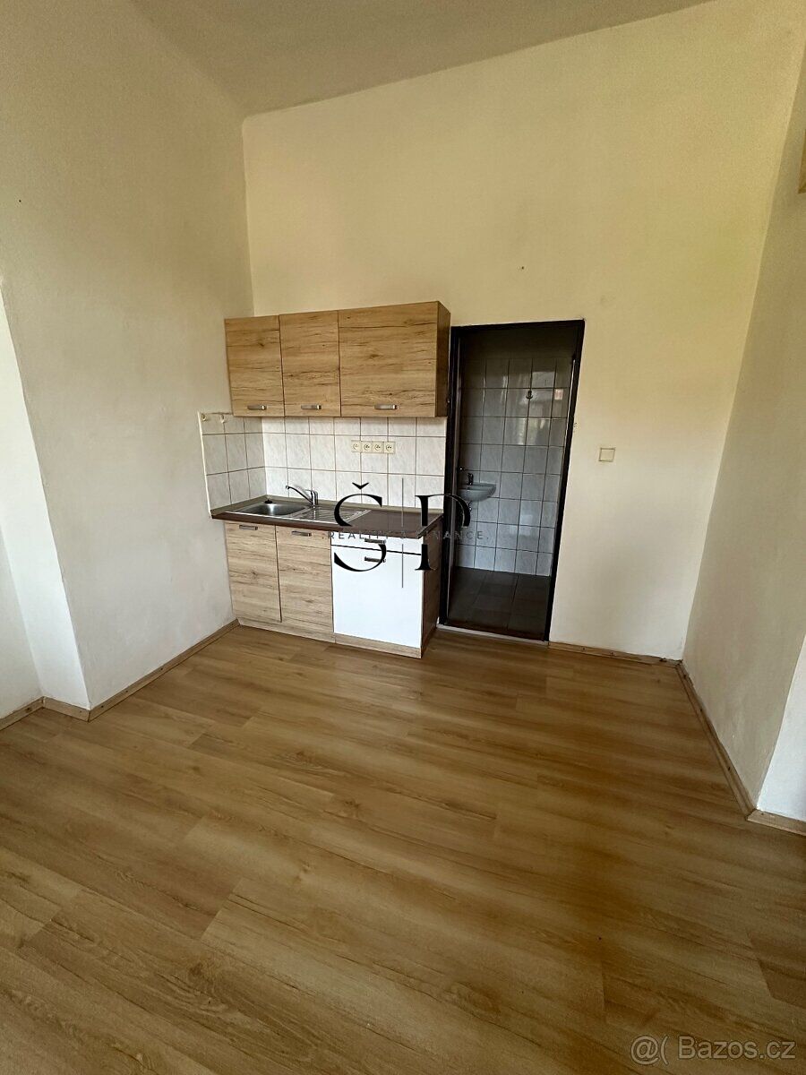 Pronájem bytu 1+kk 20 m²