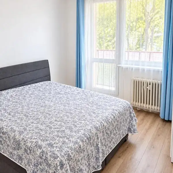 Prodej bytu 2+1 64 m², Jihlava – náhled fotky 2