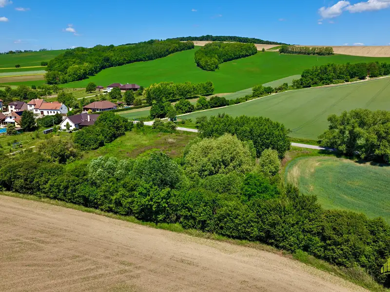 Prodej stavebního pozemku 7284 m², Diváky – náhled fotky 1