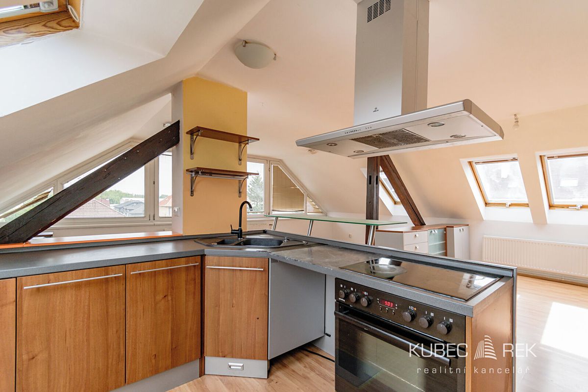 Pronájem bytu 2+kk 66 m² – fotografie 4