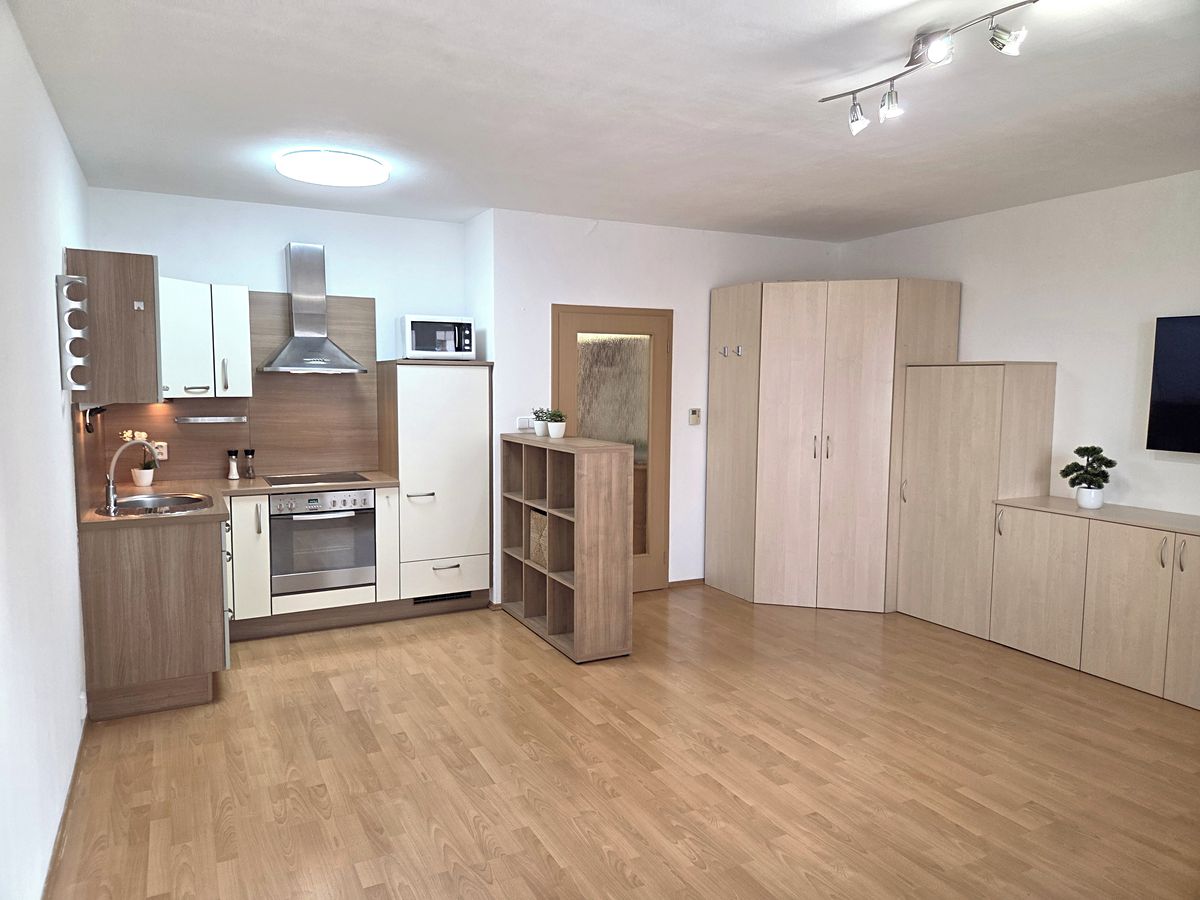 Pronájem bytu 1+kk 36 m² – fotografie 4