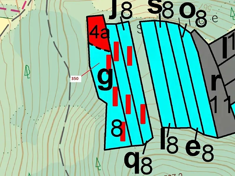 Dražba lesa 3476 m², Kovčín – náhled fotky 3