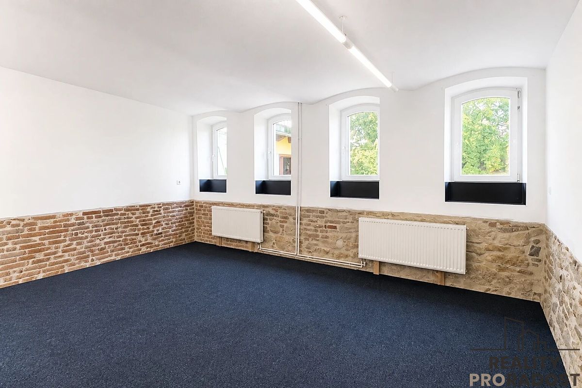 Pronájem rodinného domu 232 m², pozemek 267 m² – fotografie 4