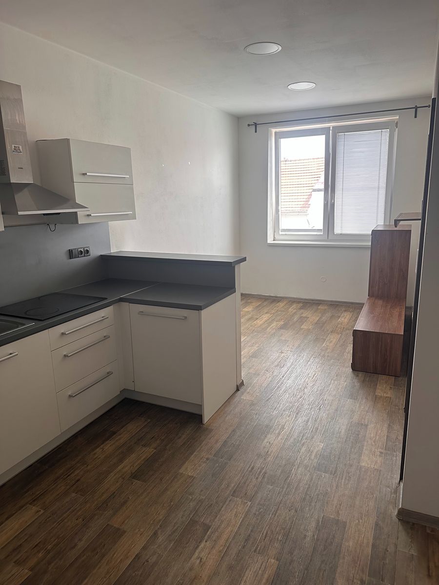 Pronájem bytu 3+kk 64 m² – fotografie 2