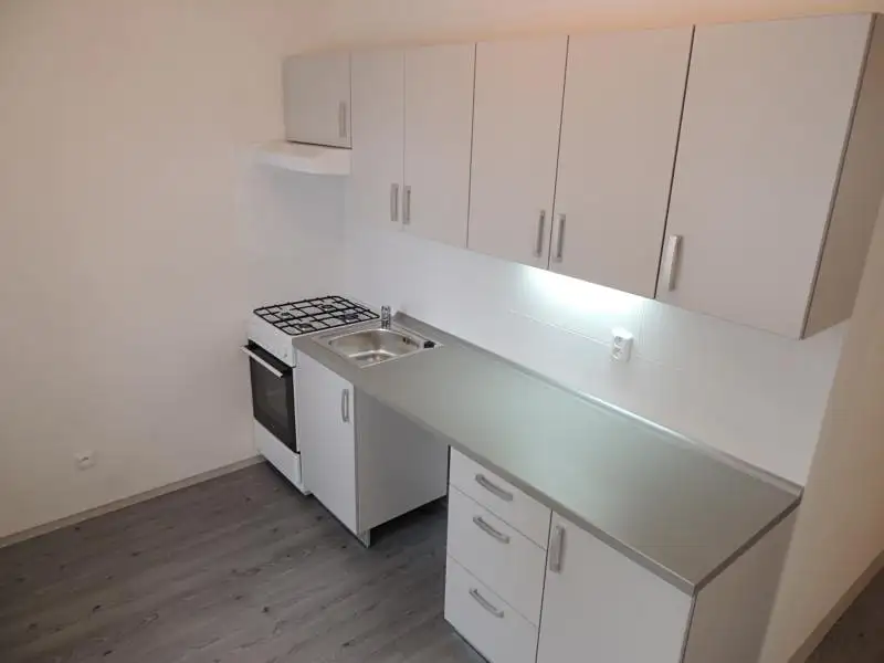 Pronájem bytu 2+1 53 m², Ostrava – náhled fotky 1