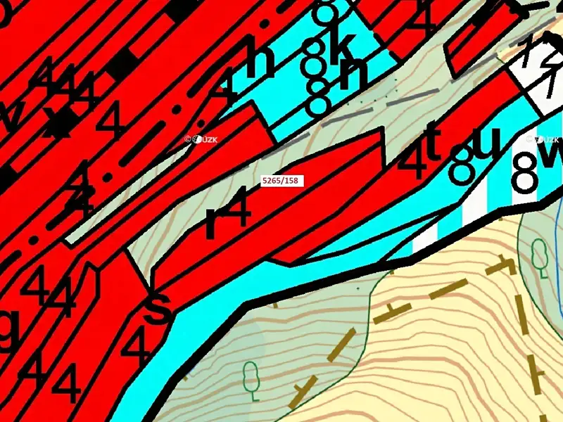 Dražba lesa 1065 m², Strání – náhled fotky 3
