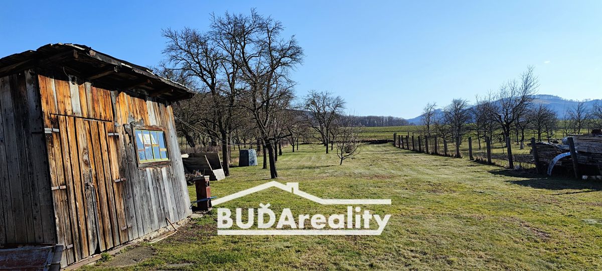 Pronájem rodinného domu 160 m², pozemek 2400 m² – fotografie 5