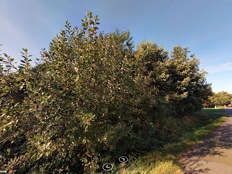 Prodej louky 2790 m², Kunčice pod Ondřejníkem – náhled fotky 2