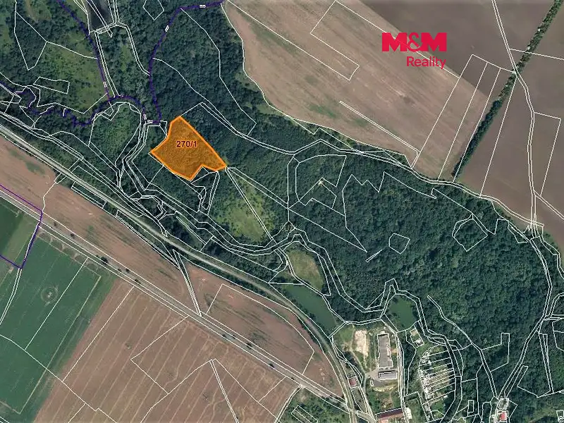 Prodej louky 10278 m², Žiželice – náhled fotky 1