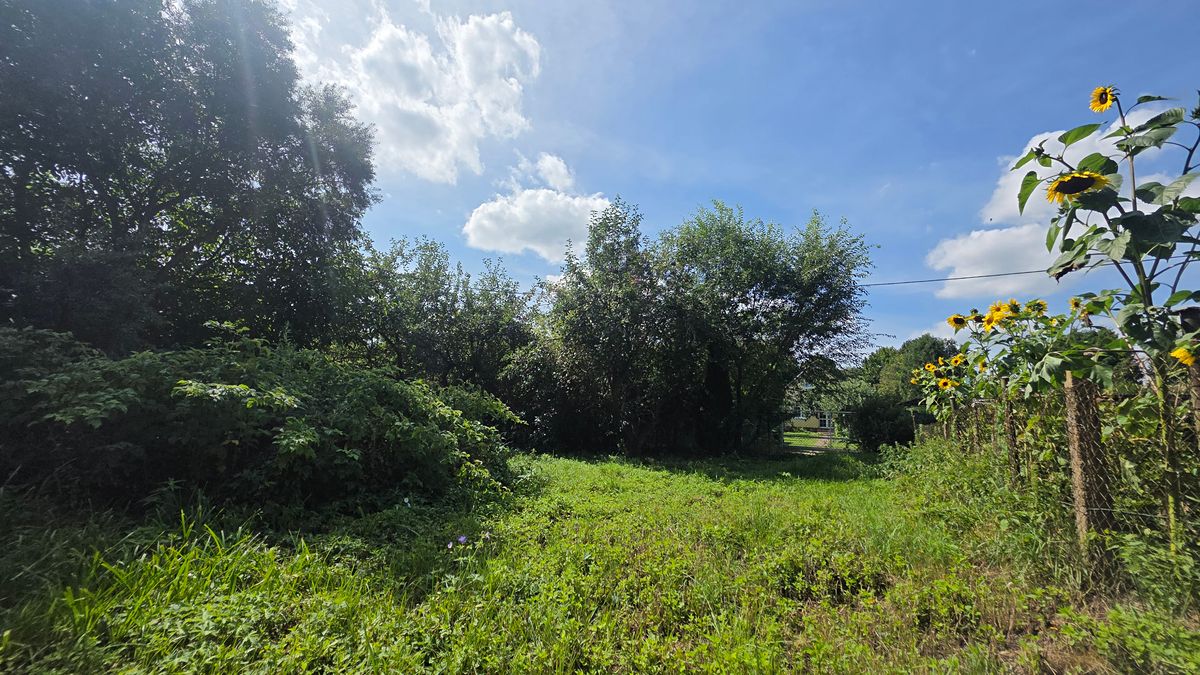 Prodej chaty 40 m², pozemek 1119 m² – fotografie 5