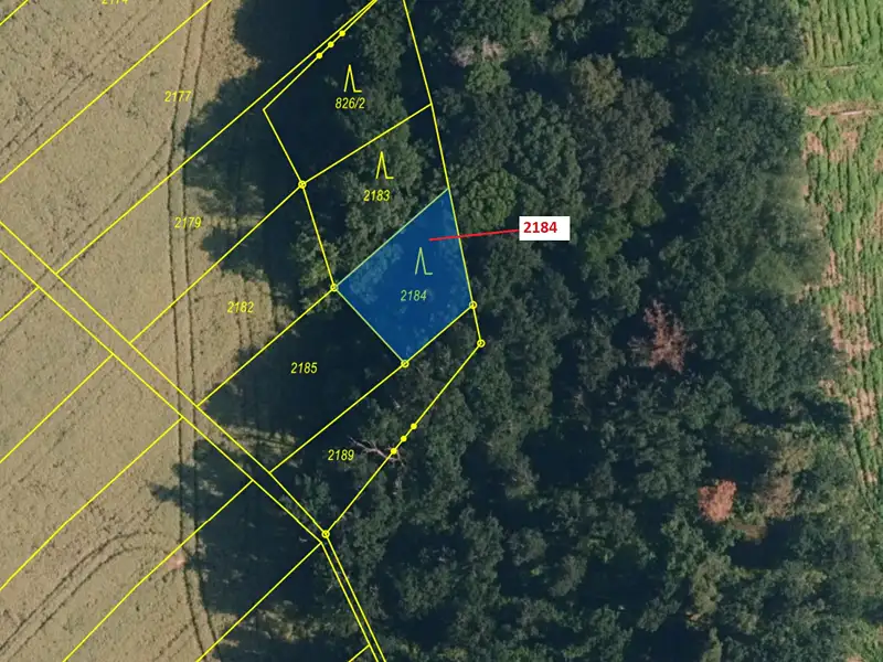 Dražba lesa 291 m², Březník – náhled fotky 3