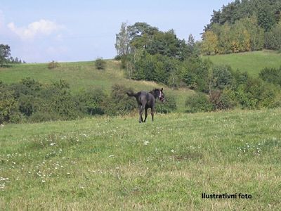 Prodej louky 104699 m²