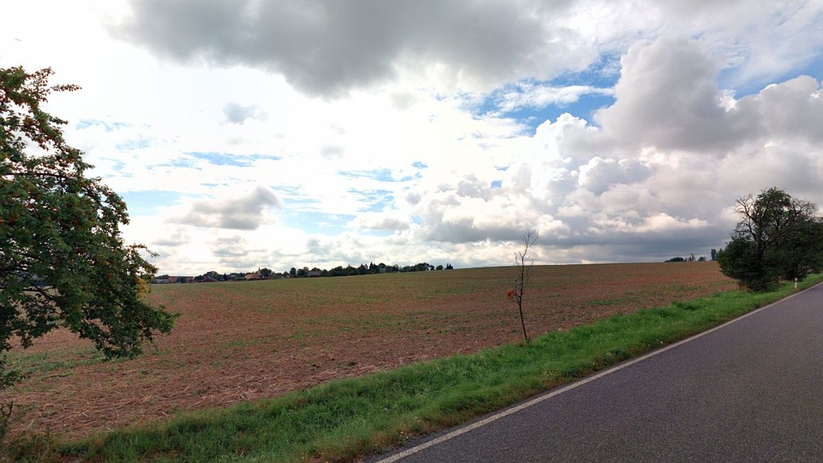 Prodej pole 12155 m² – fotografie 2