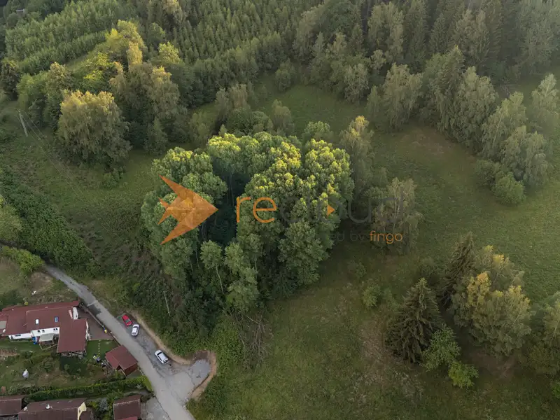 Prodej lesa 3373 m², Větřní – náhled fotky 3