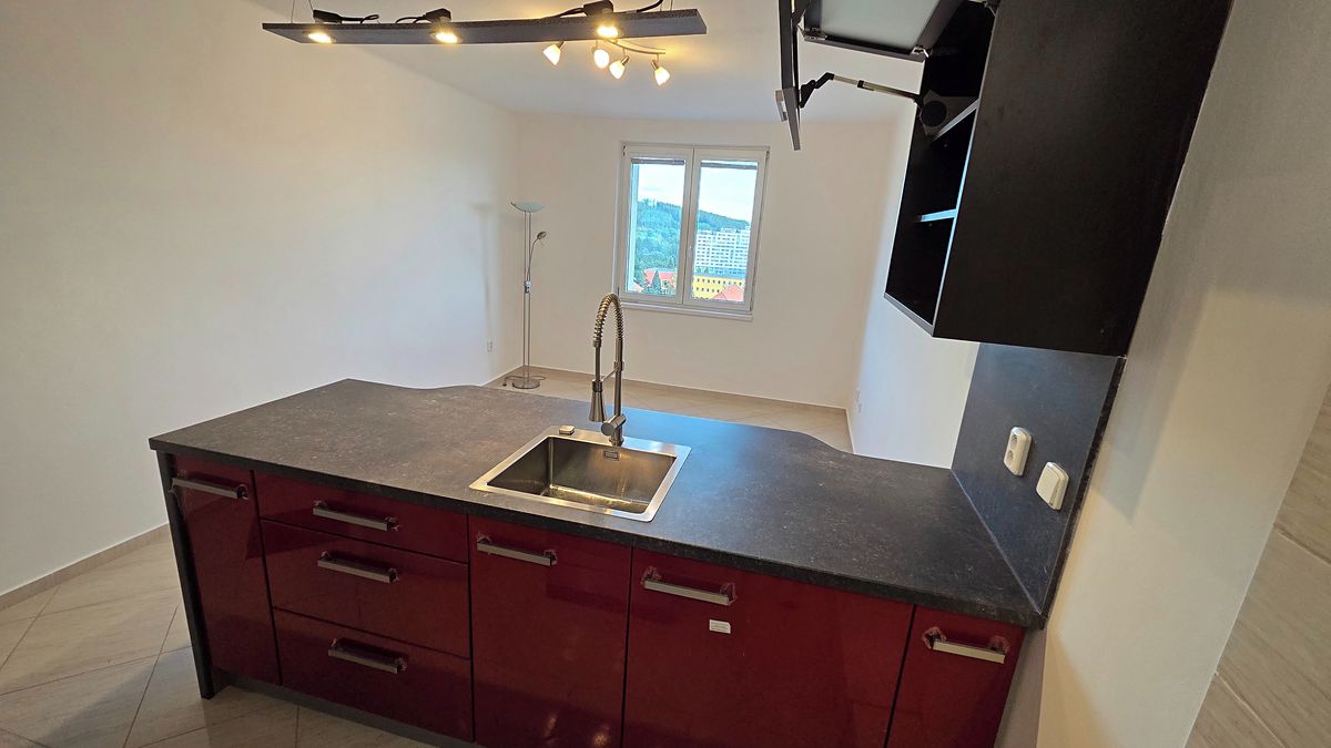 Pronájem bytu 1+kk 25 m² – fotografie 4