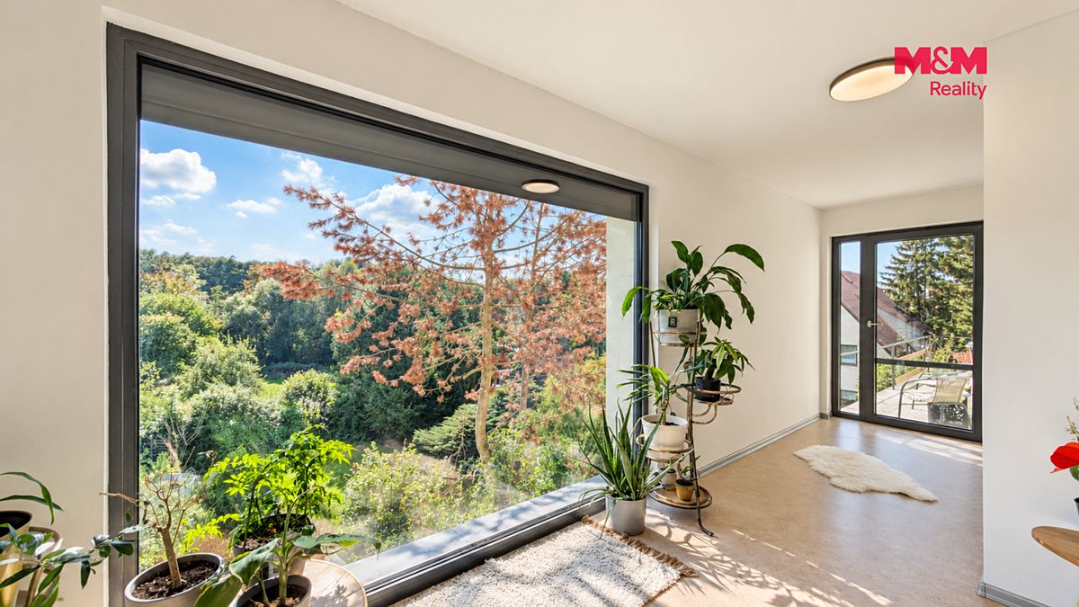 Prodej rodinného domu 165 m², pozemek 3500 m² – fotografie 2