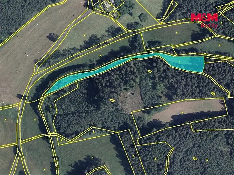 Prodej louky 4258 m², Mařenice – náhled fotky 2