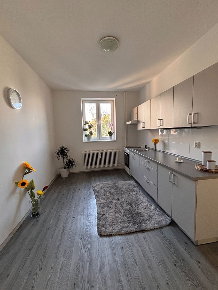 Pronájem bytu 1+1 47 m² – fotografie 2