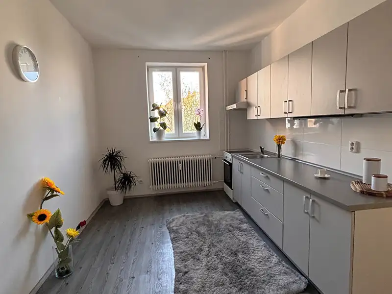 Pronájem bytu 1+1 47 m², Ostrava – náhled fotky 2