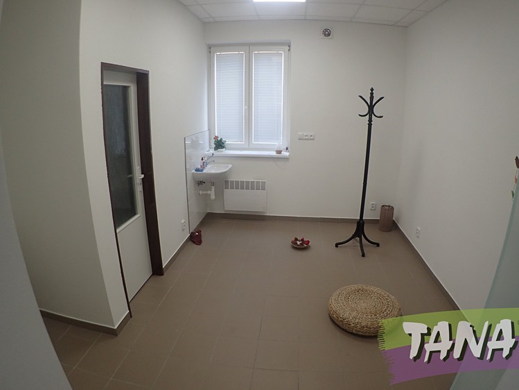 Gewerbefläche zum Kauf, 285 m² (2 von 24)