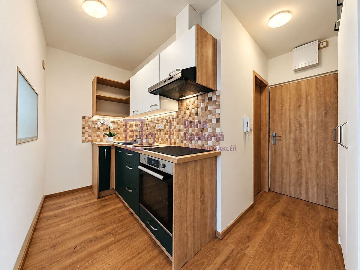 Pronájem bytu 2+1 35 m² – fotografie 2