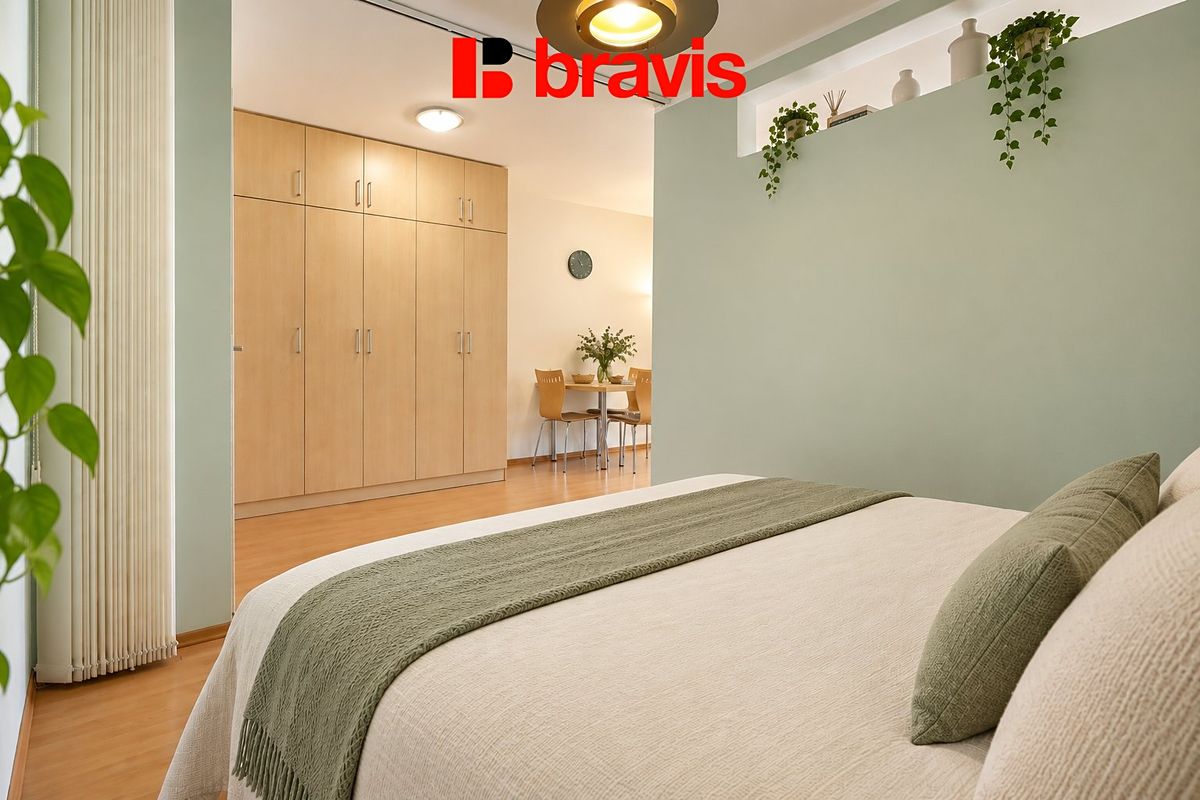 Pronájem bytu 1+kk 59 m² – fotografie 4