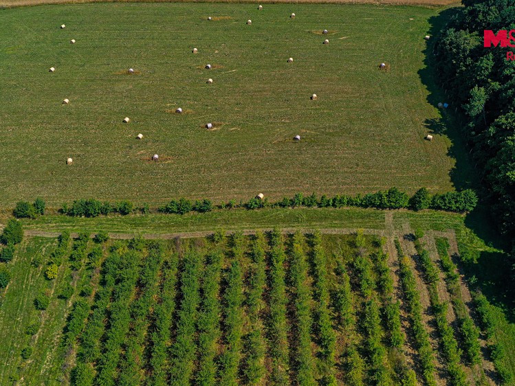 Grundstück zum Kauf, 2.771 m² (6 von 9)