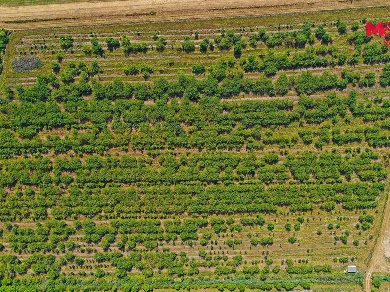 Prodej pole 12442 m², Rakvice – náhled fotky 3