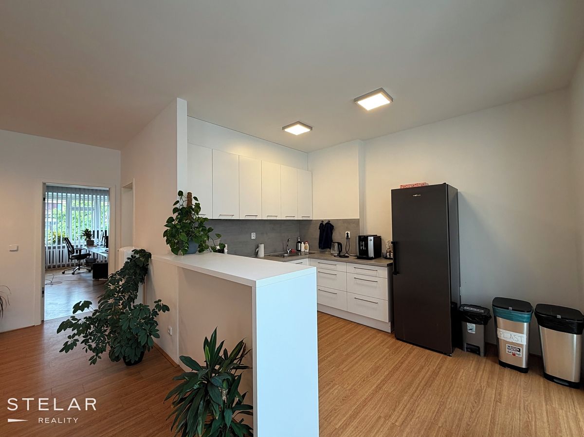 Pronájem bytu 3+kk 104 m²