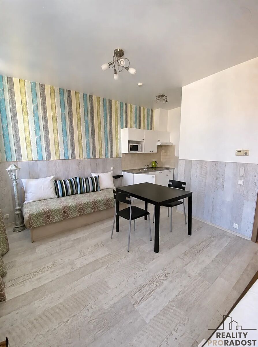 Pronájem bytu 1+kk 31 m²