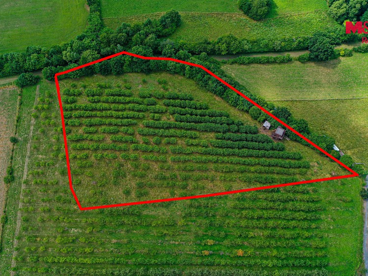 Ділянка на продаж, 9 766 м² (8 з 13)