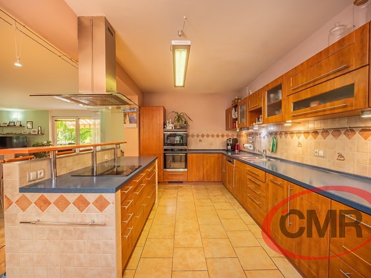 Prodej domu, 350 m² (4 z 36)