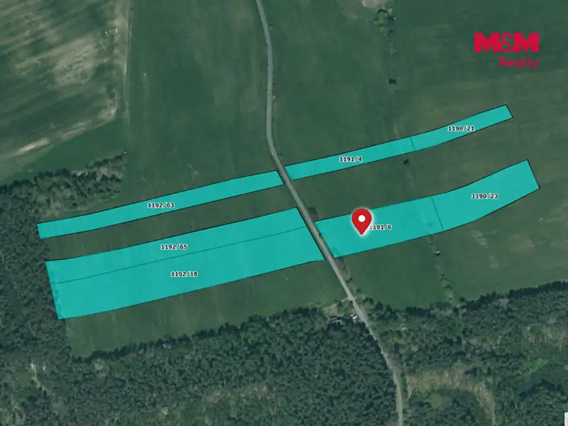 Prodej pole 55812 m², Líně – náhled fotky 2