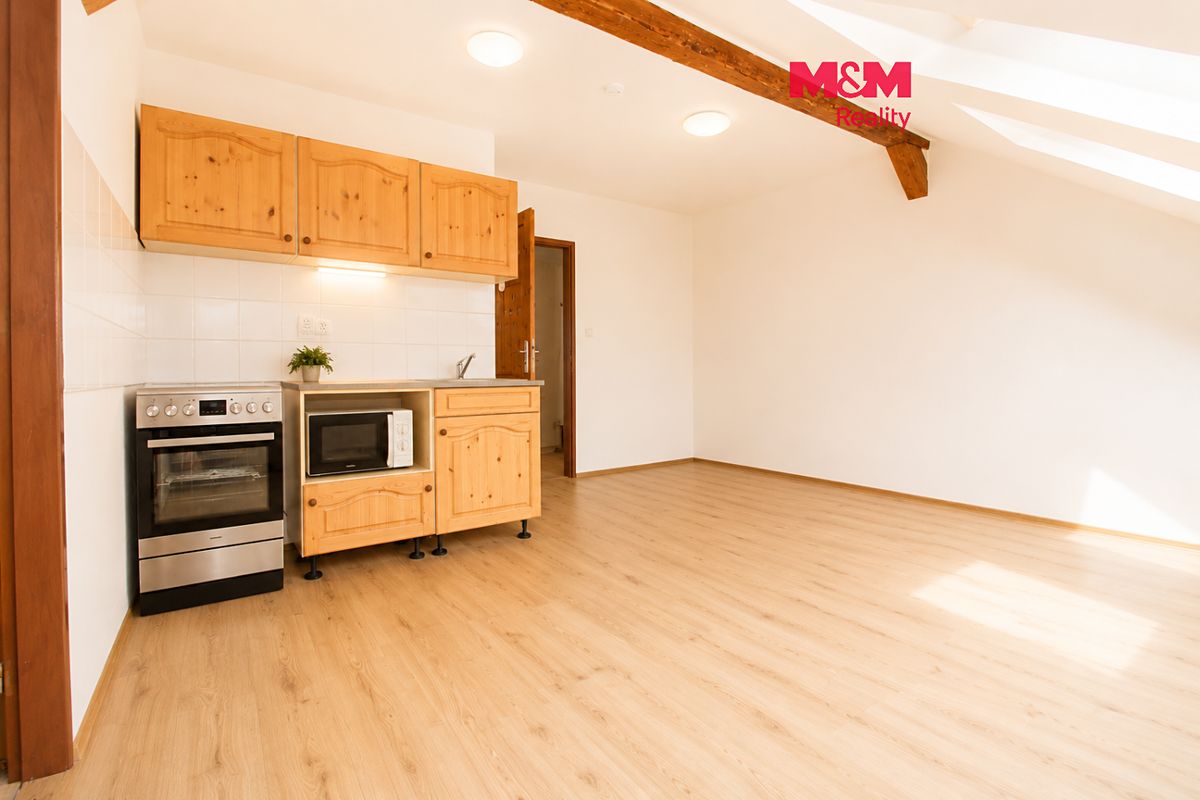 Pronájem bytu 1+1 43 m²