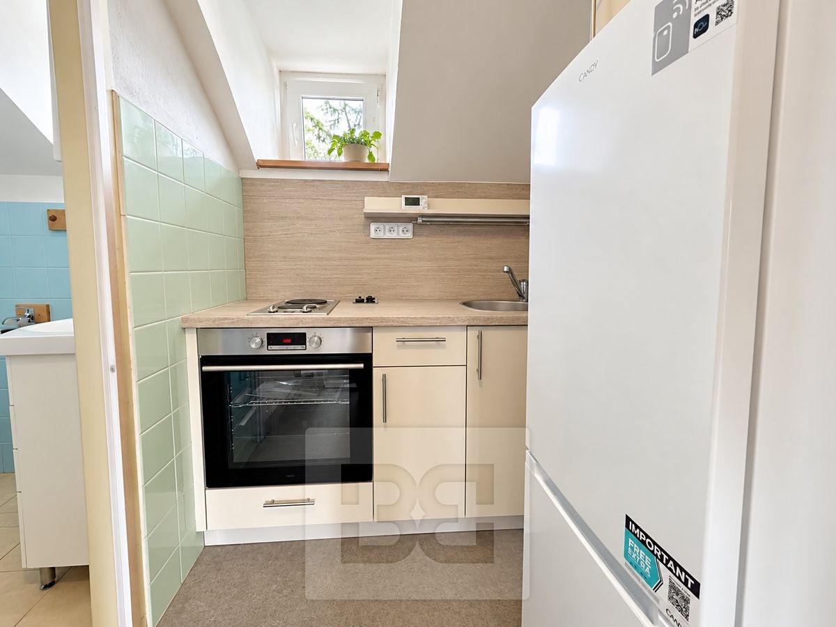 Pronájem bytu 1+kk 29 m² – fotografie 2