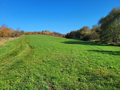 Prodej louky 52559 m²