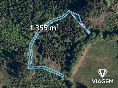 Prodej lesa 4836 m²